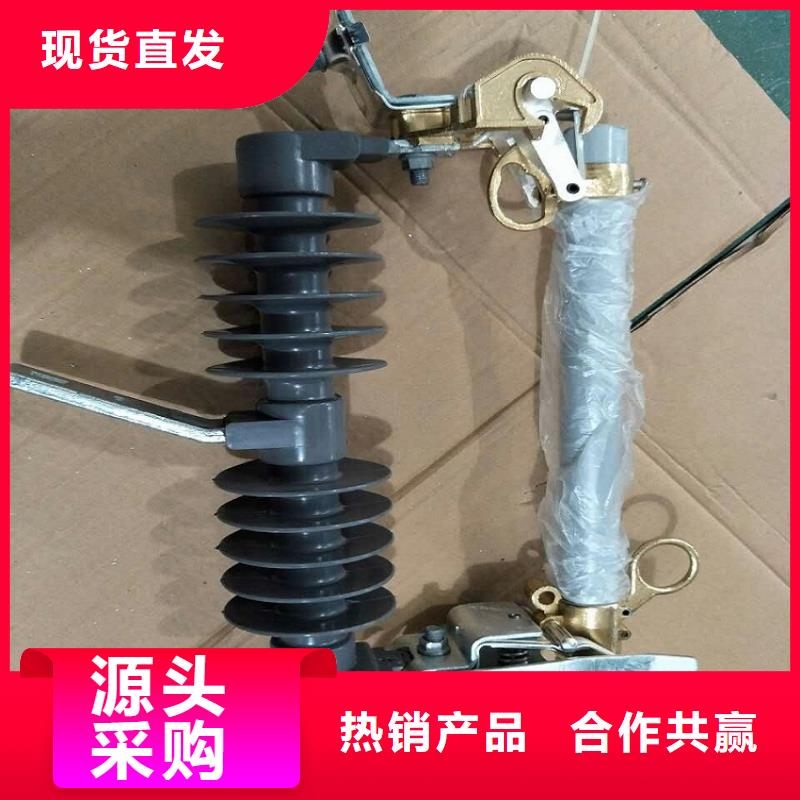 【跌落式熔断器】RW12-12/200生产厂家