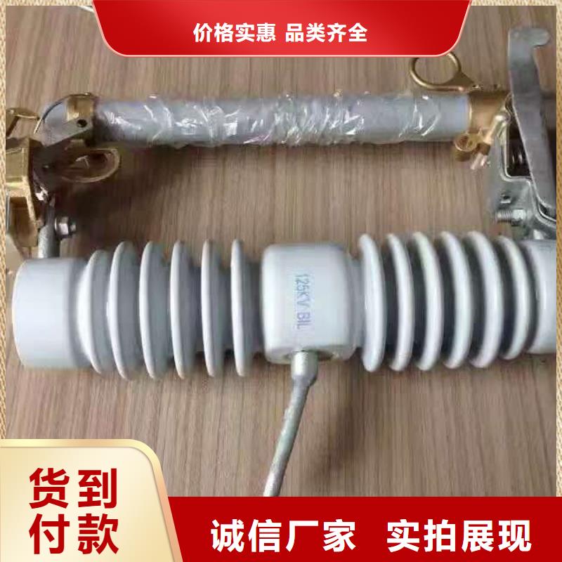 山東-跌落式熔斷器RW11-10F;HRW11-10F/多少錢