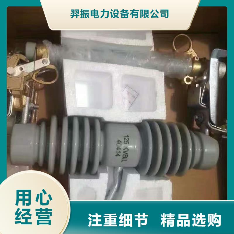 ABB型滅弧式瓷瓶跌落保險RNCX-15F/200A.