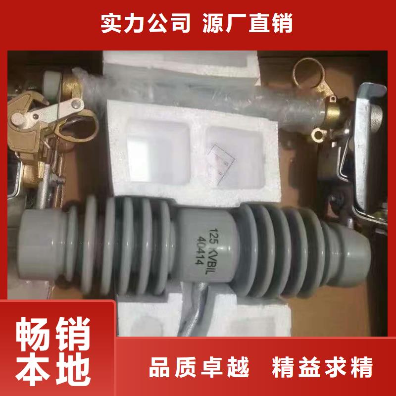 高压熔断器-RW5-35KV/100A