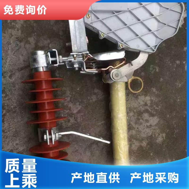 跌落式熔斷器PRW12-10/200A