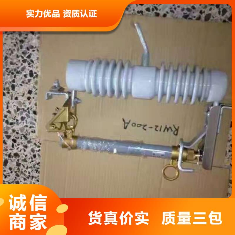 【熔斷器,避雷器實力商家供貨穩定】