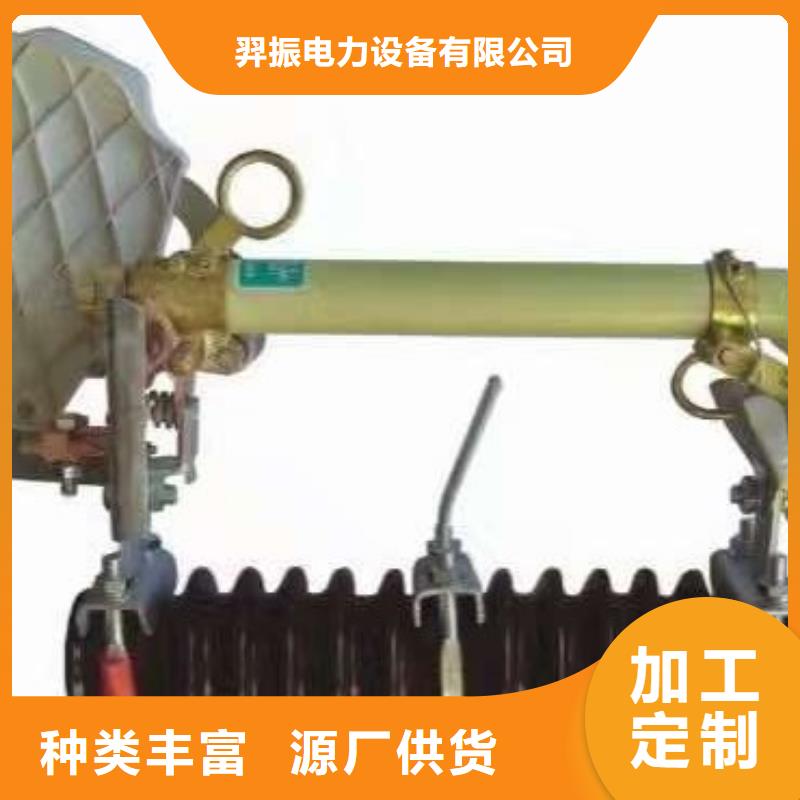 熔断器 跌落式熔断器厂家每个细节都严格把关
