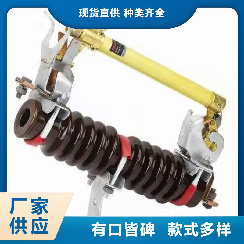 熔断器-金属氧化物避雷器支持大小批量采购