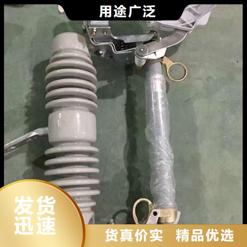 【跌落式熔斷器】RW12-12F-100A