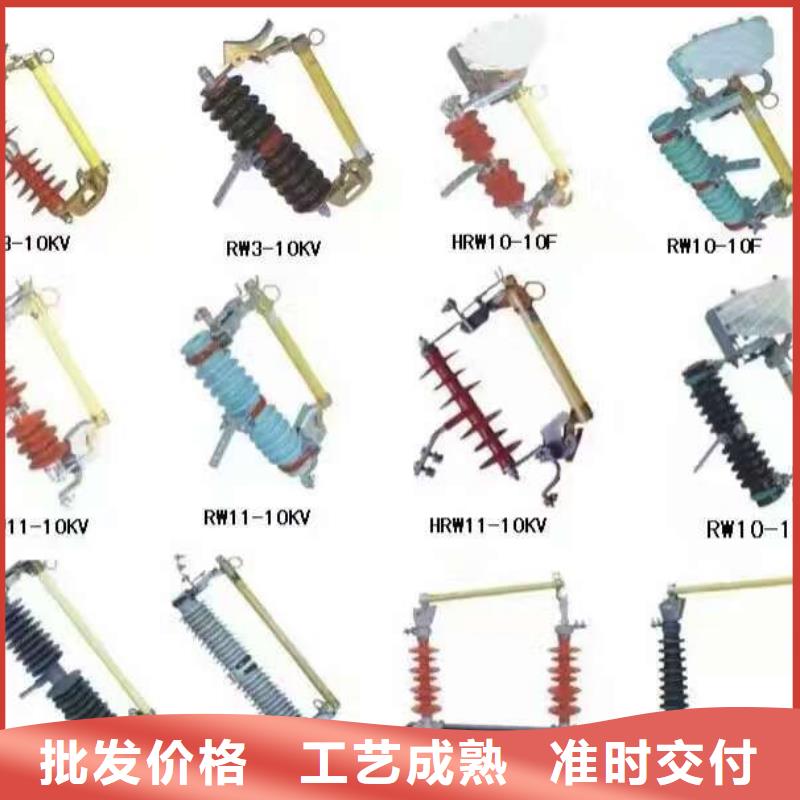 熔断器_真空断路器快速发货