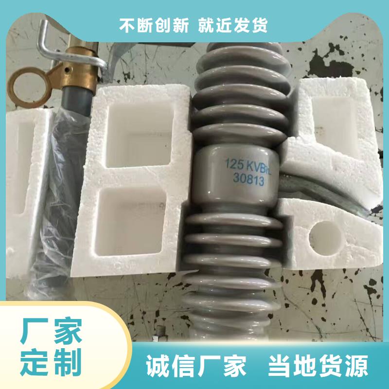 山東-跌落式熔斷器RW11-10F;HRW11-10F/多少錢