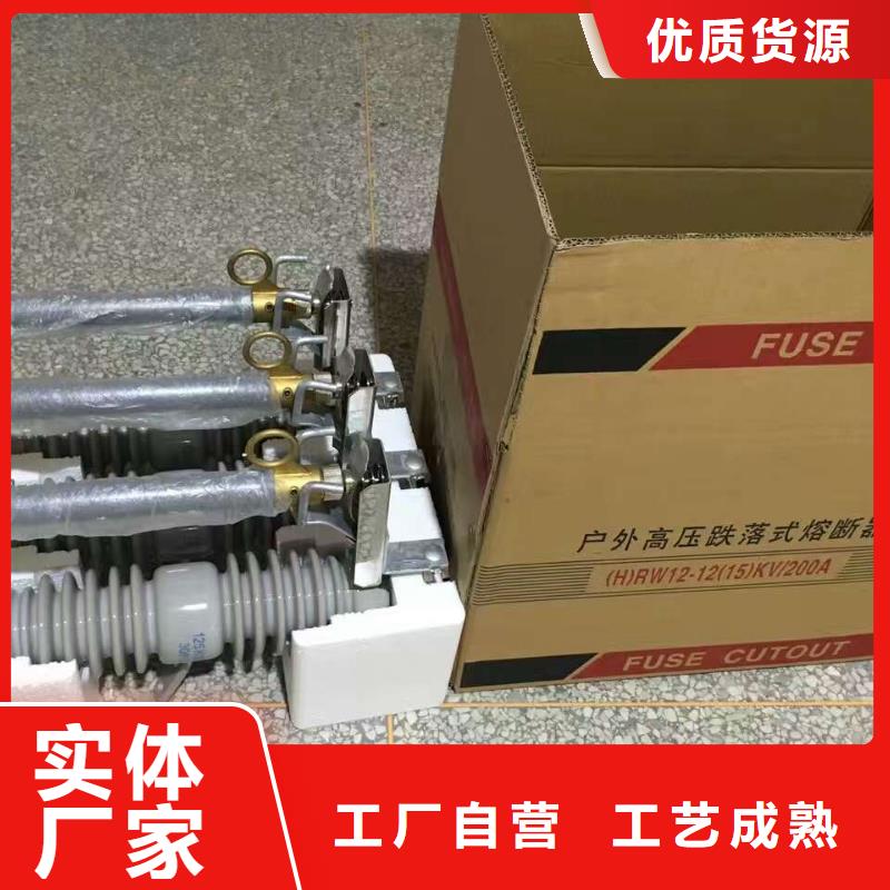 熔断器_绝缘子厂家匠心打造
