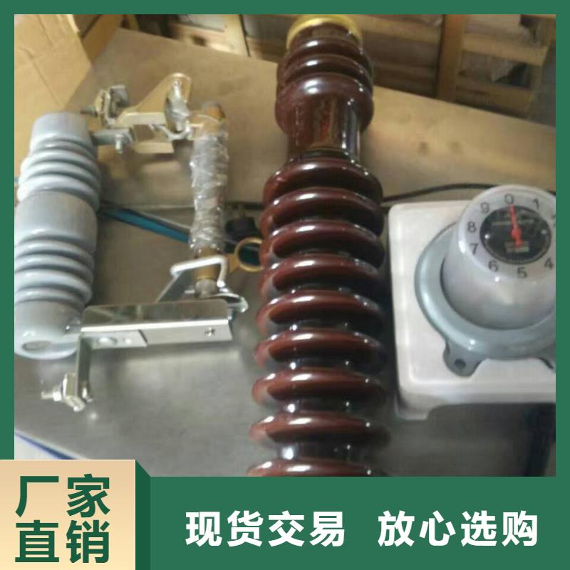 熔斷器,絕緣子廠家N年大品牌