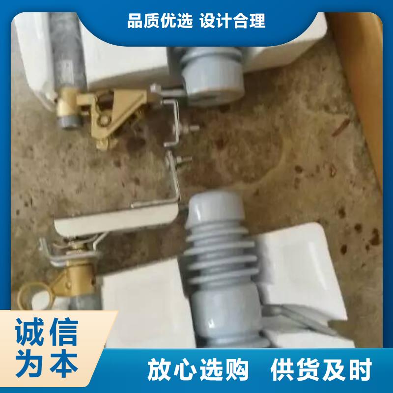 高壓熔斷器/HRW11-12/100A