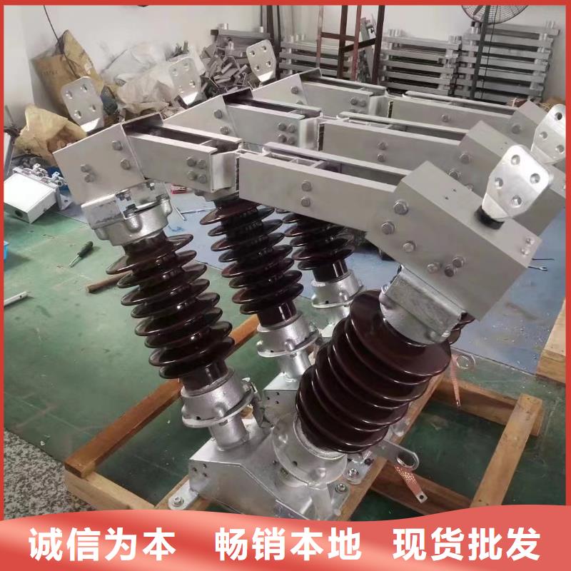 高壓熔斷器-RW10-10F(W)/100【浙江羿振電氣有限公司】