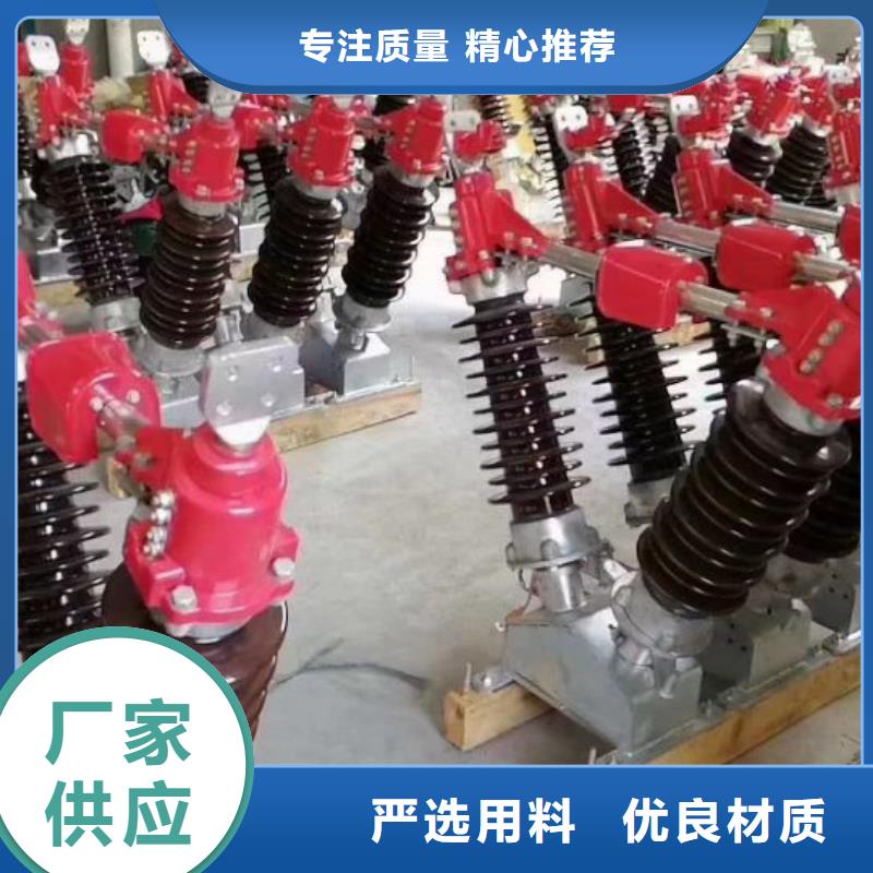 支持絕緣子：ZSW10-252/8-3