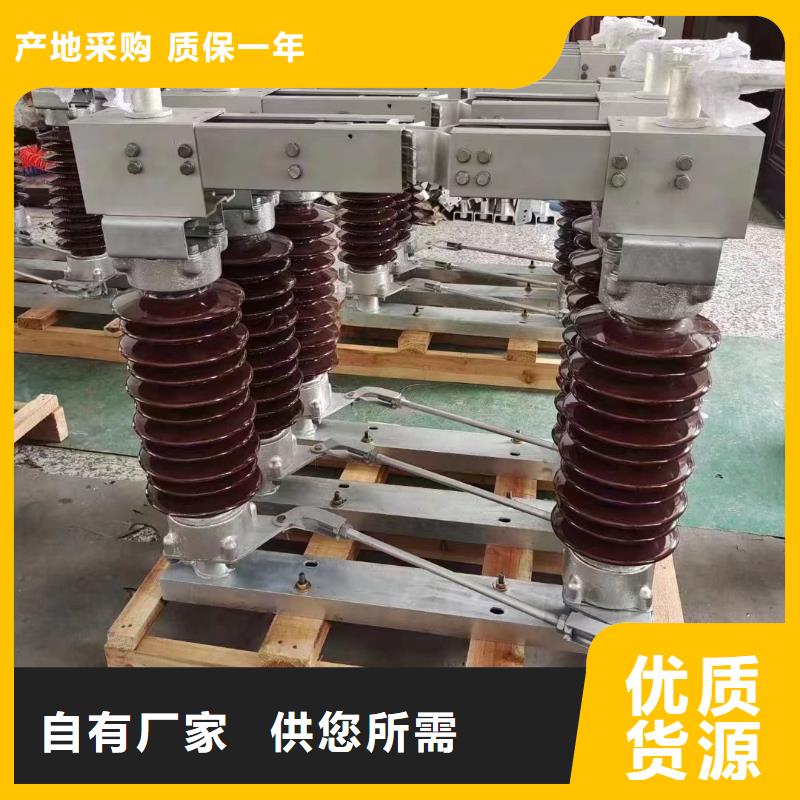 支持絕緣子：ZSW10-252/8-3