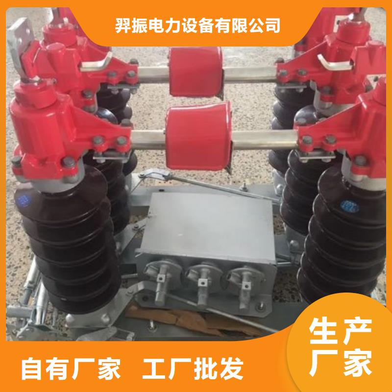 ZSW-1150-20：支柱絕緣子