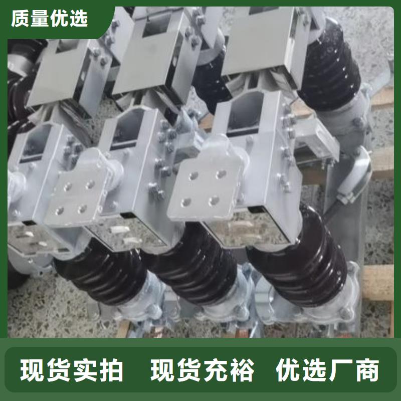 支柱絕緣子：ZS-35/800