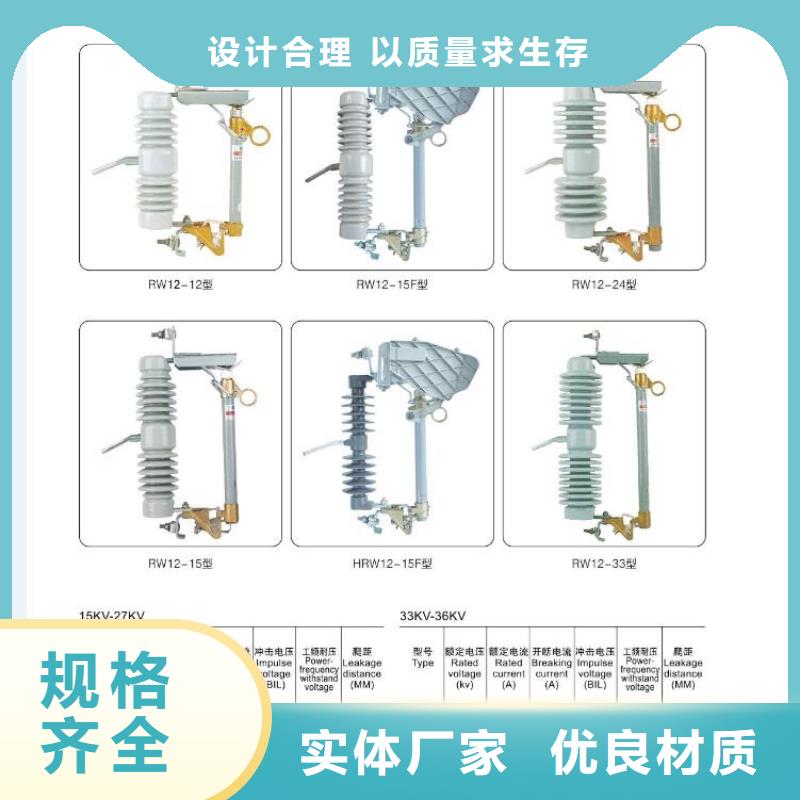 支柱絕緣子：ZS-110/23.5