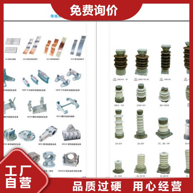 高壓熔斷器-RW10-10F(W)/100【浙江羿振電氣有限公司】