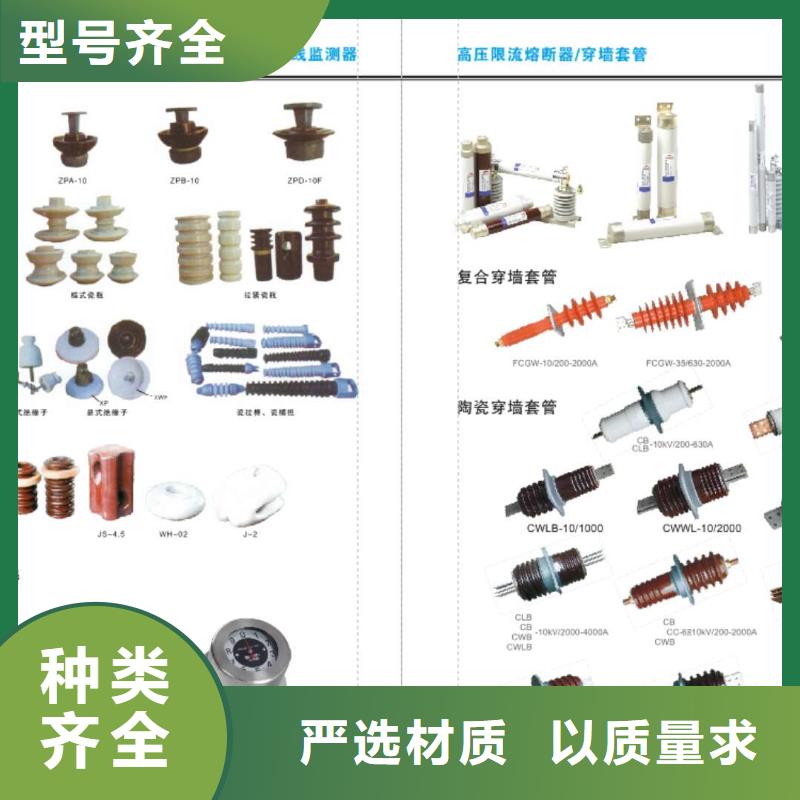 跌落式熔斷器HRW7-10-100A