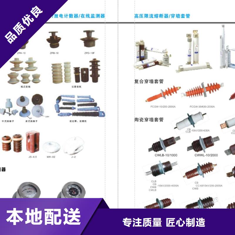 跌落式熔斷器RW4-10,10KV