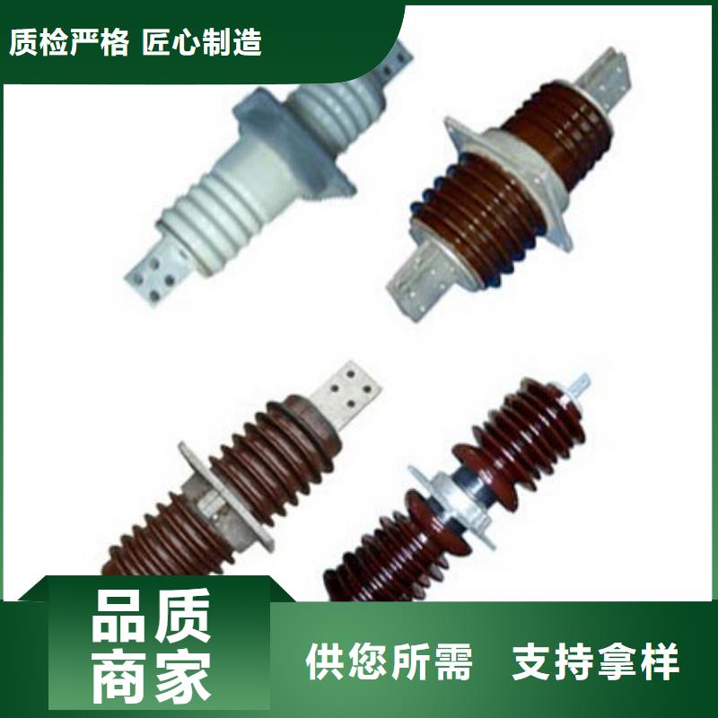 ZS2-63/400：支持絕緣子
