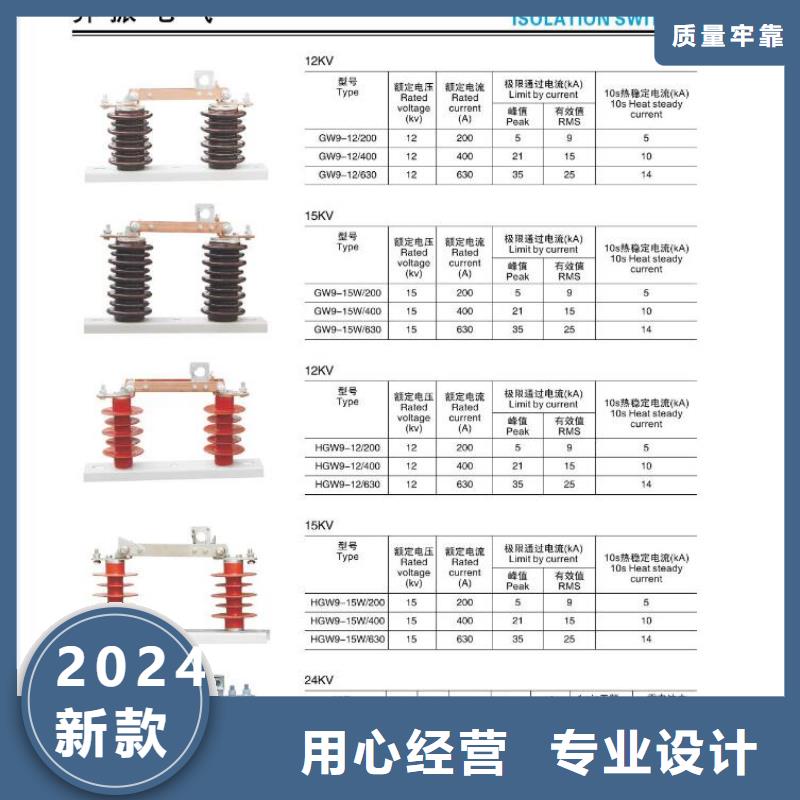 〖〗柱上斷路器＿AC10kV＿630A＿20kA＿真空＿有隔離閘刀＿戶外＿電動/出廠價