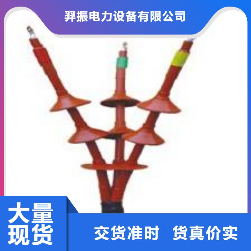 熱縮電纜終端頭RSNY-3/4-24KV