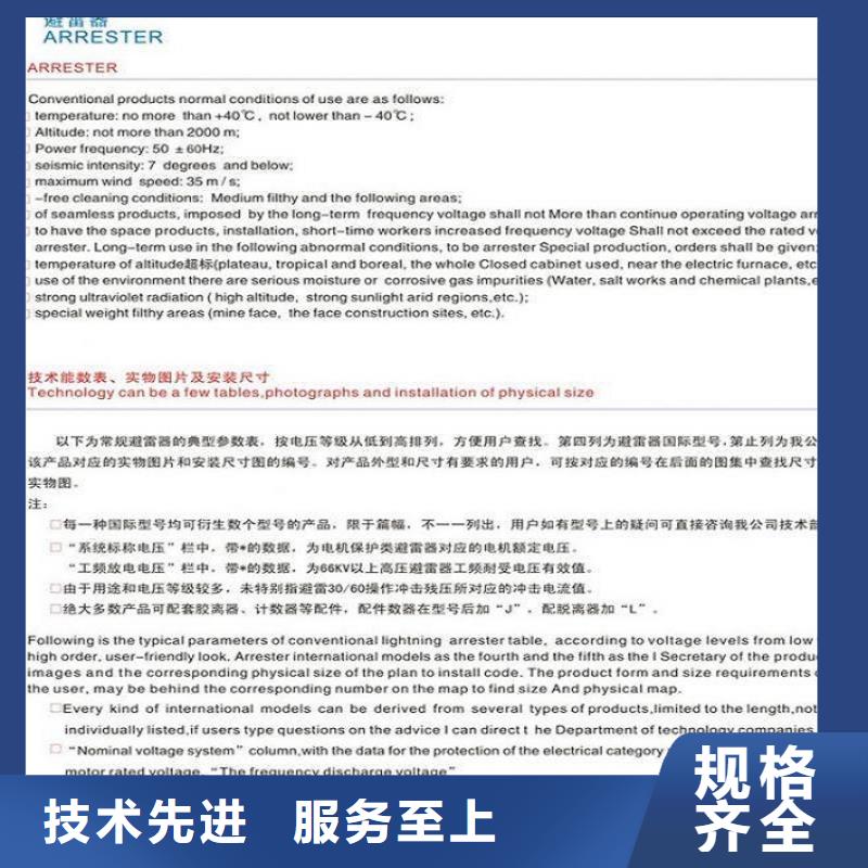 【羿振電力設(shè)備】【避雷器】Y10W1-192/500W