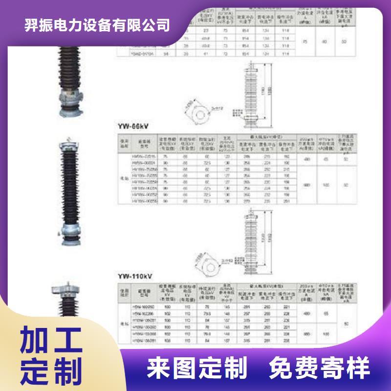 避雷器Y5WR1-17/45上海羿振電力設備有限公司