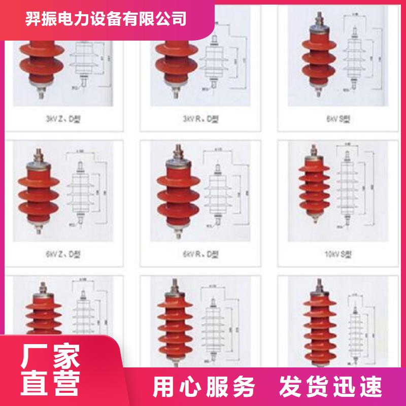 【避雷器】Y5W1-96/250GW