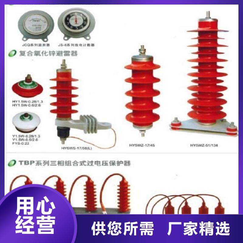 HY10WX-102/265TD-上海羿振電力設備有限公司
