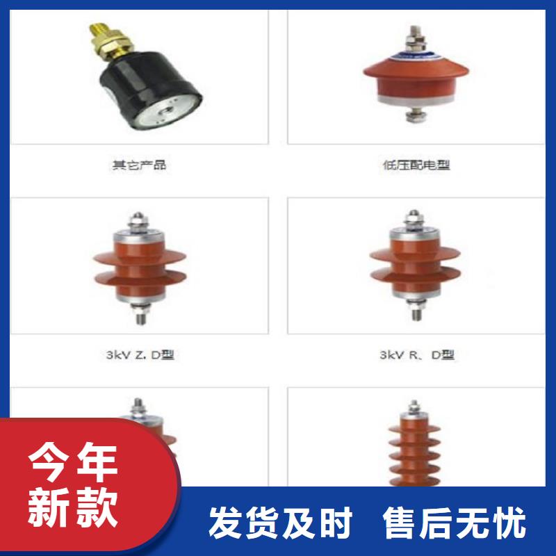 避雷器Y10W1-192/500W生產廠家