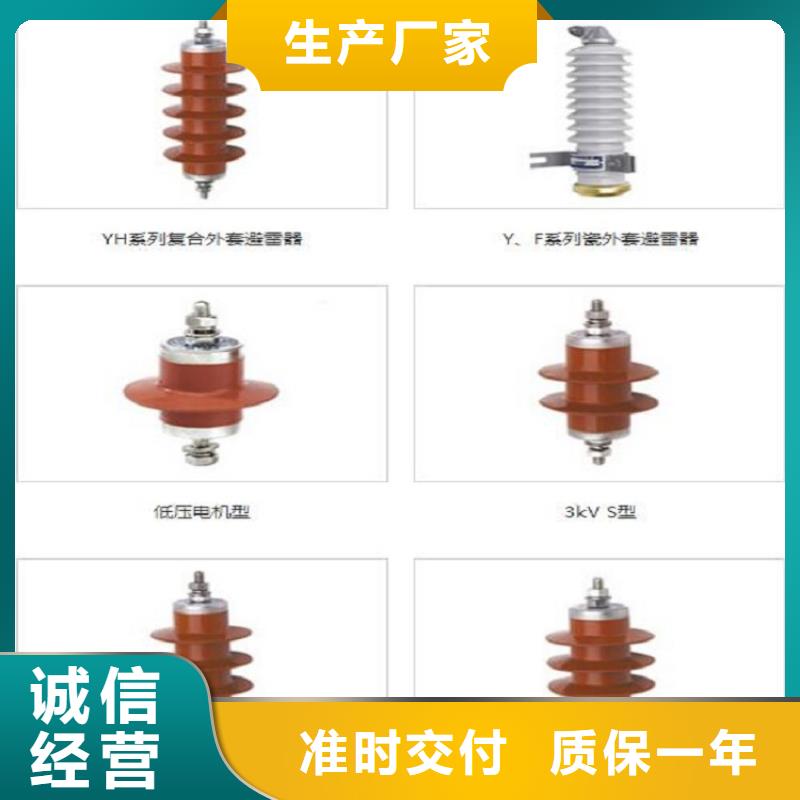 避雷器Y5WR1-17/45上海羿振電力設備有限公司