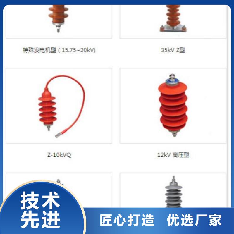 避雷器Y10W-96/238【羿振電力設備】