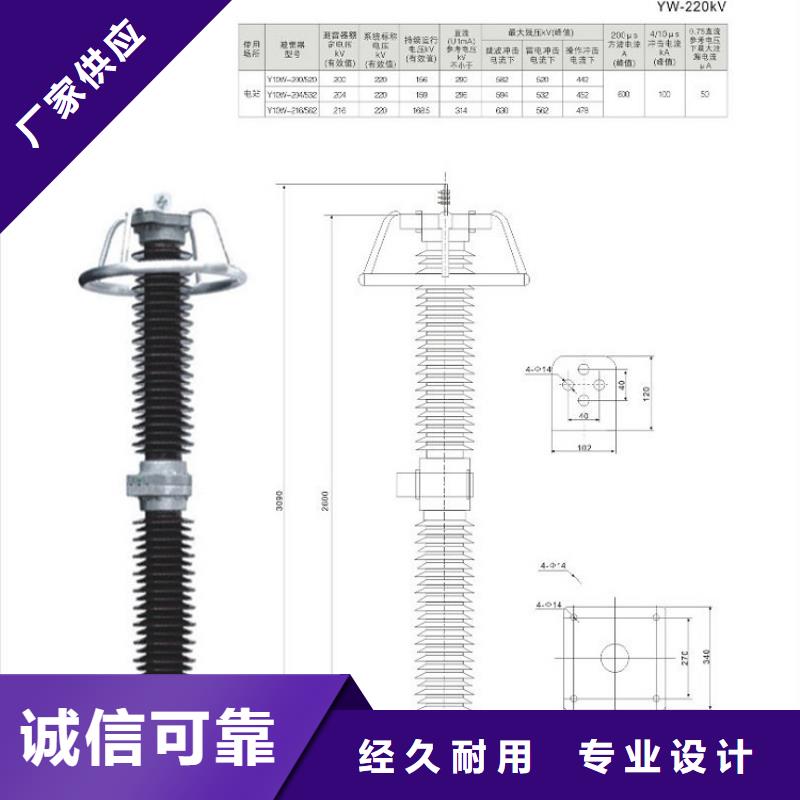 Y10W5-102/266-浙江羿振電氣有限公司
