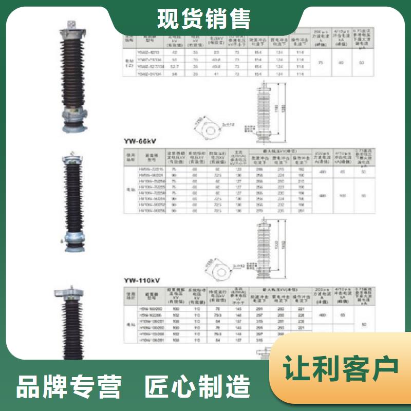 【羿振電氣】避雷器YH10CX5-96/250，放電計數器