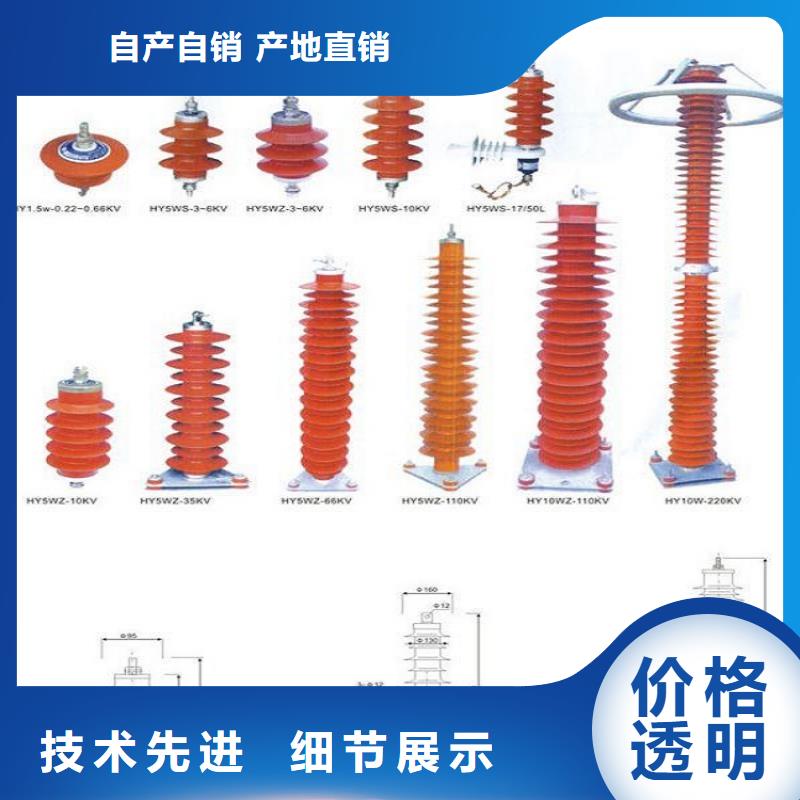 【Y10W-100/260】上海羿振電力設備有限公司