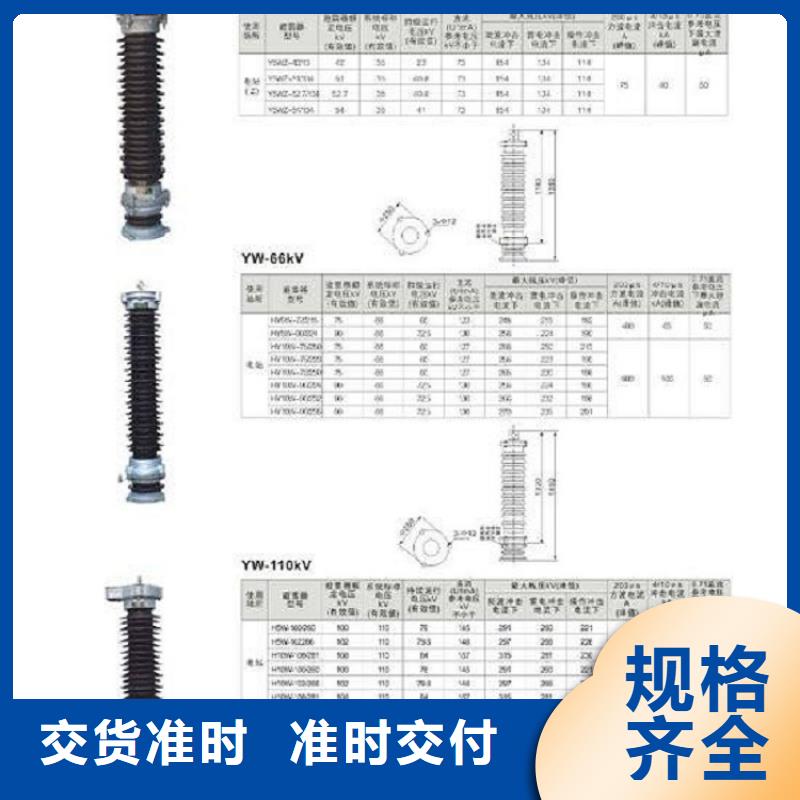 避雷器YH5WD2-13.5/31【浙江羿振電氣有限公司】