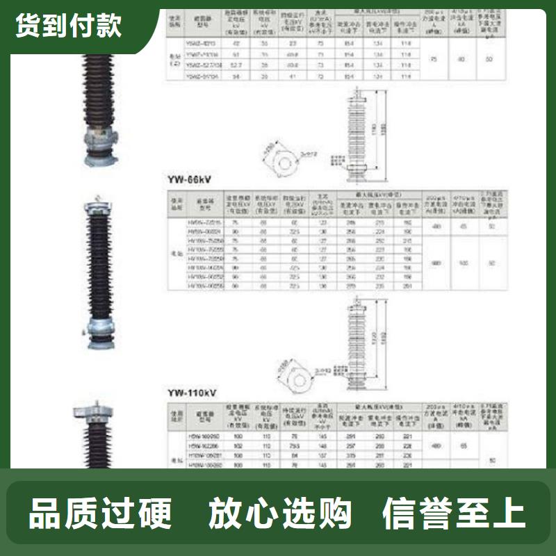 避雷器Y10W1-216/562W
