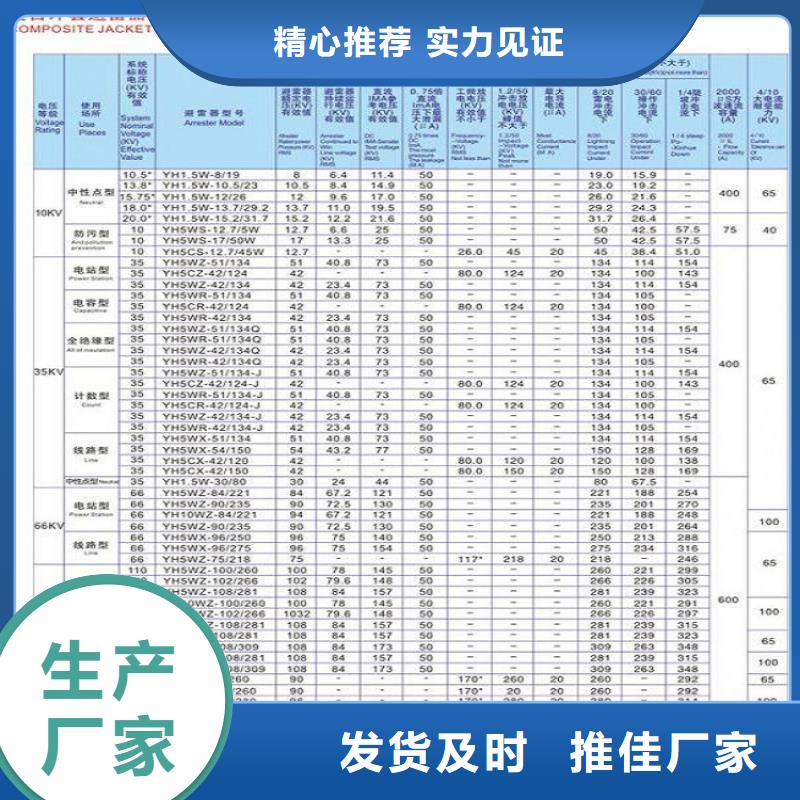 【避雷器】Y5W1-96/250GW