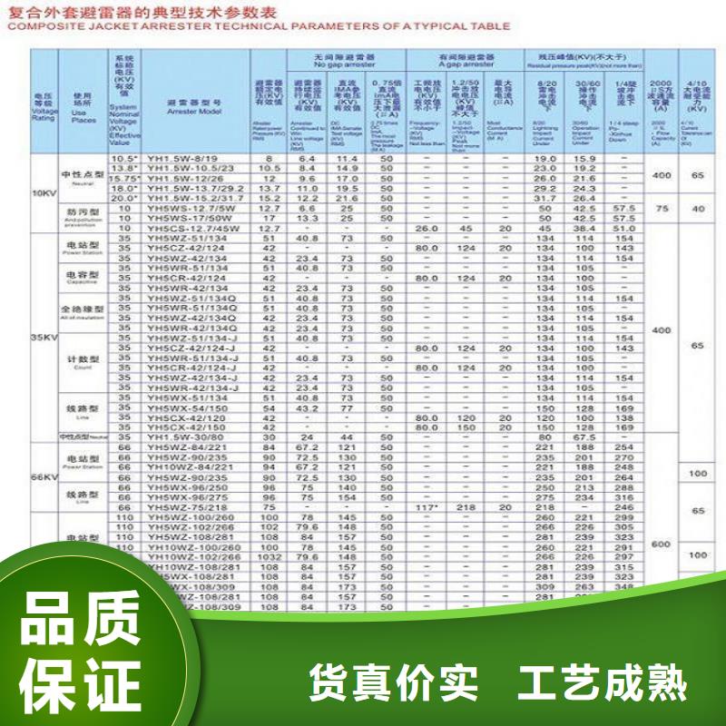 _避雷器YH5CX-42/120J【羿振電力設(shè)備】