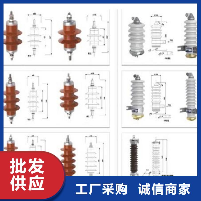 【羿振電力】避雷器YH10W-51/134GY