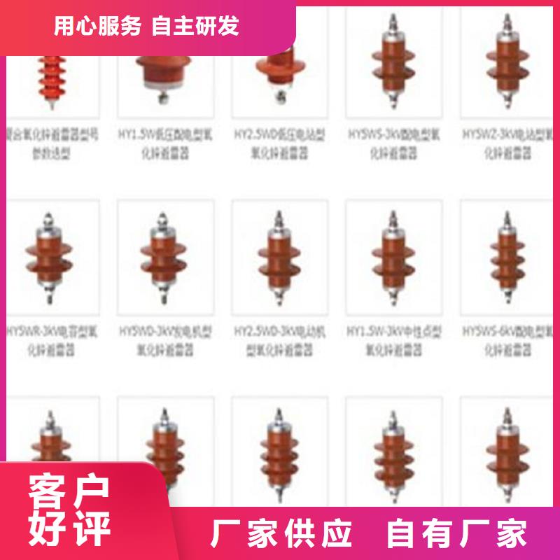 66KV復(fù)合外套無(wú)間隙氧化鋅避雷器3EL2084-2PJ31-4KA2質(zhì)量保證