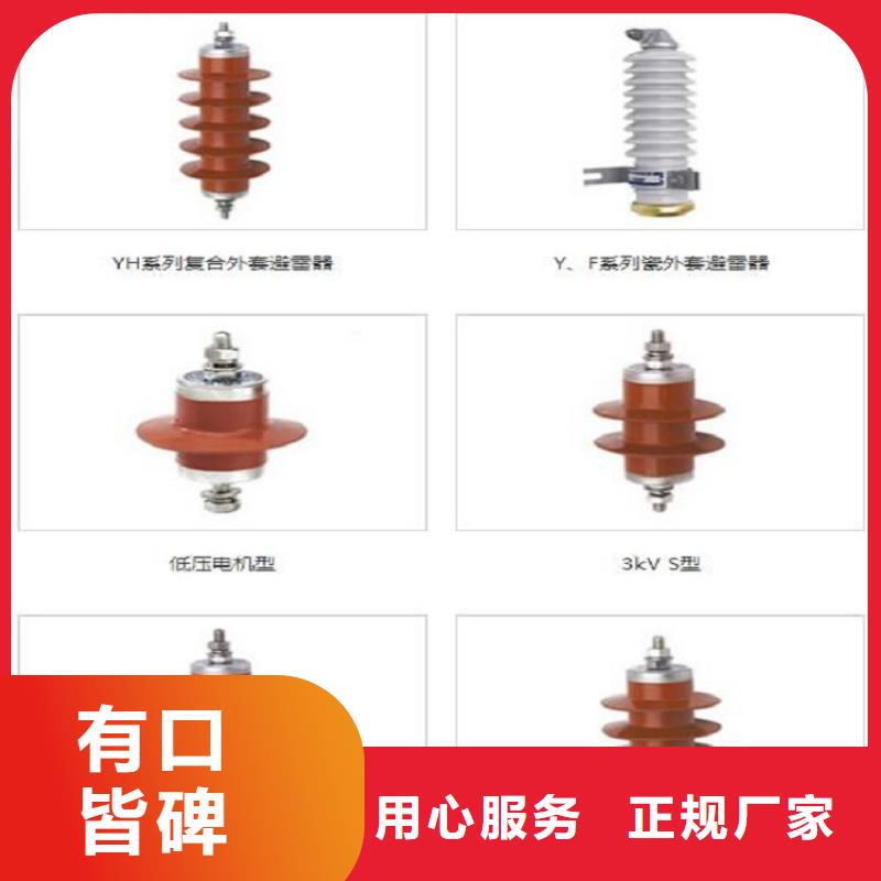 金属氧化物避雷器Y10W1-96/250【上海羿振电力设备有限公司】