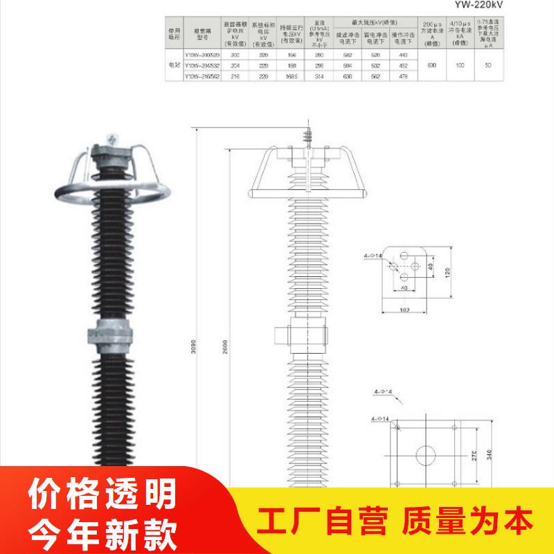 避雷器YH5WD2-13.5/31【浙江羿振電氣有限公司】