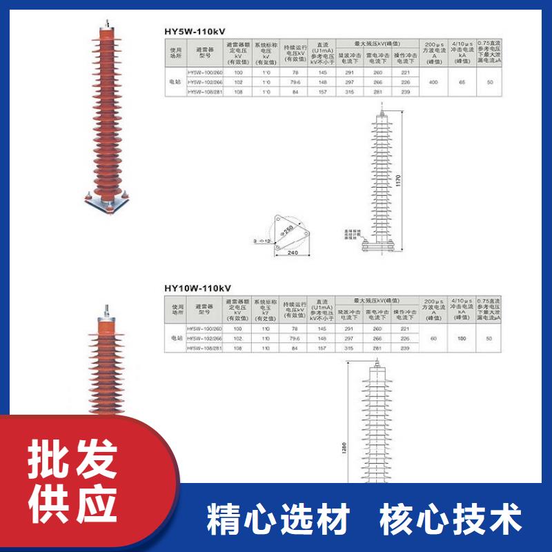 66KV復(fù)合外套無(wú)間隙氧化鋅避雷器3EL2084-2PJ31-4KA2質(zhì)量保證