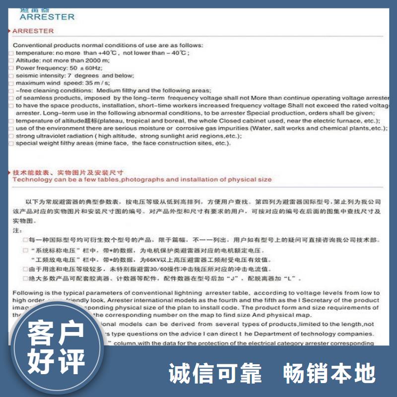 避雷器Y5WR1-17/45上海羿振電力設備有限公司