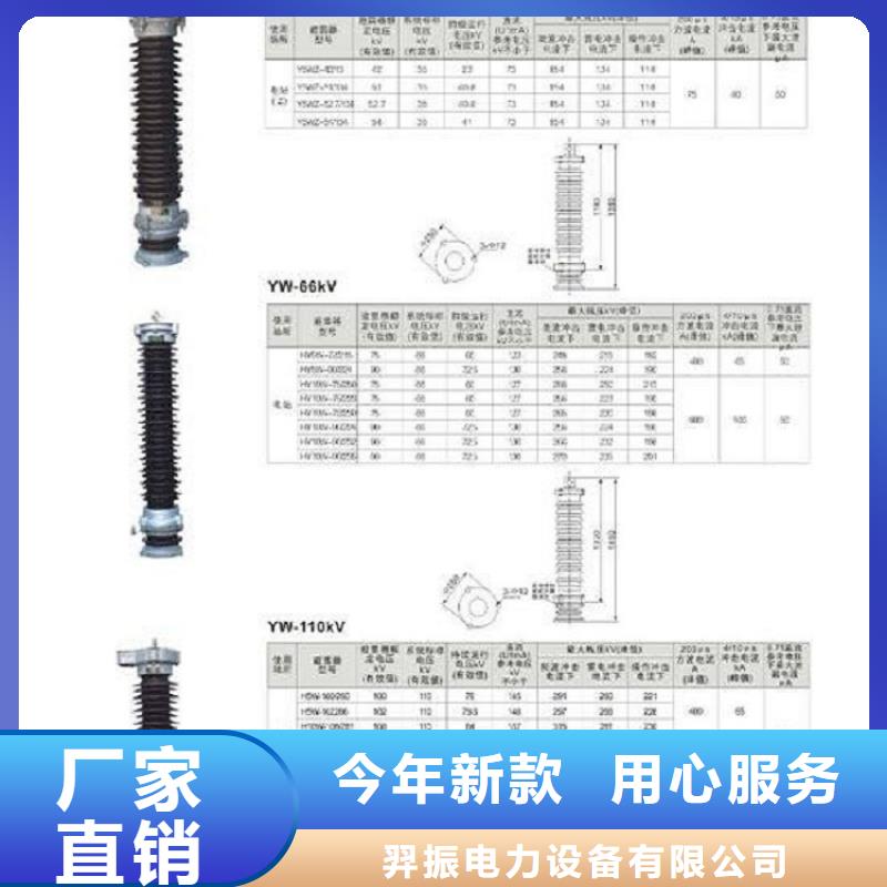 【避雷器】Y5W-100/260