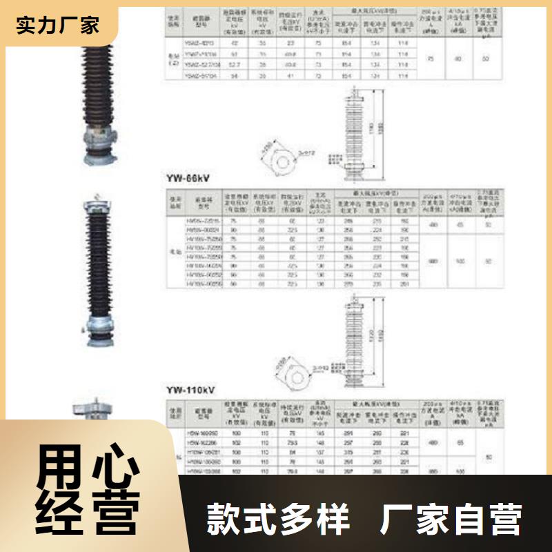 【羿振電力設(shè)備】【避雷器】Y10W1-192/500W