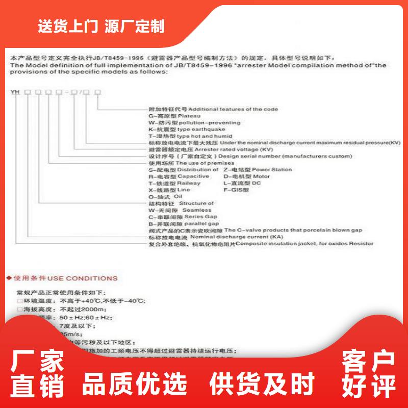 【羿振電力】避雷器YH5WT2-42/120