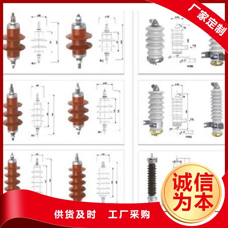 氧化鋅避雷器Y10W-100/260【浙江羿振電氣有限公司】